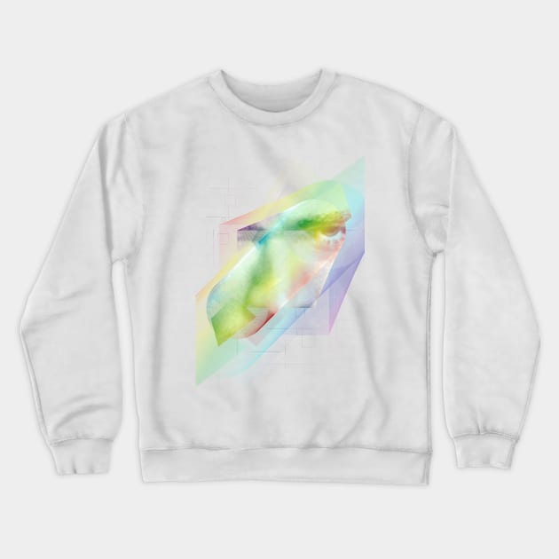 Geometric Design Crewneck Sweatshirt by NJORDUR